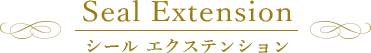 シール エクステンション